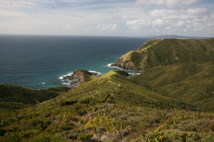 Carnet de voyage - Reinga : le cap des âmes maories défuntes