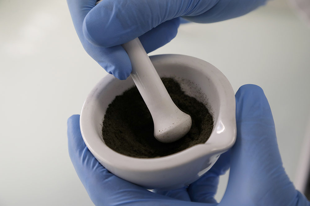 Perturbateurs endocriniens: le gouvernement publie deux listes de pesticides