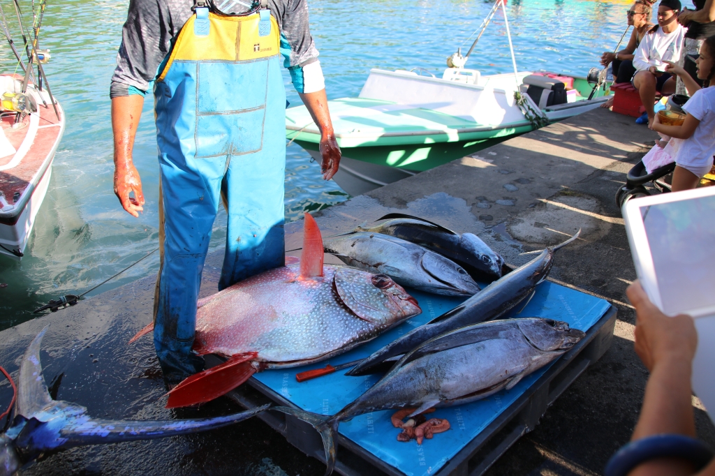  CESC : 18 voix pour les aides à la pêche
