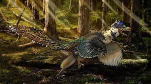Un nouveau dinosaure à plumes affublé d'une énorme crête