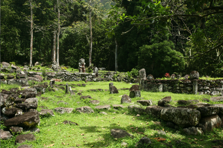 Une vue générale du site, dont désormais toutes les pièces essentielles sont sous protection, donnant à Iipona un aspect de village ancien.