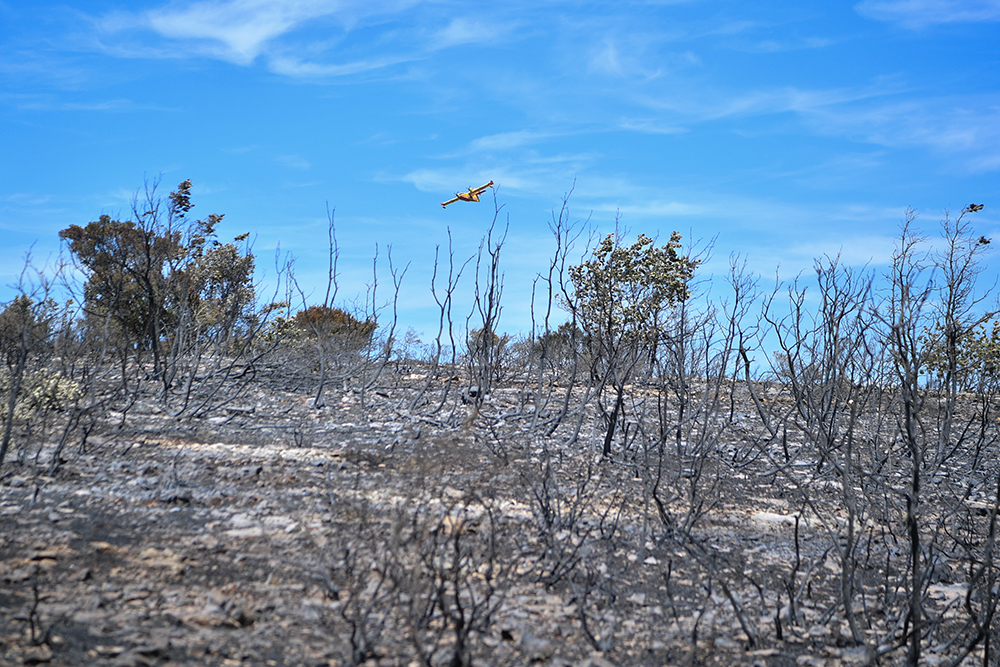 Incendies dans le Sud-Est: trois hommes présentés au juge