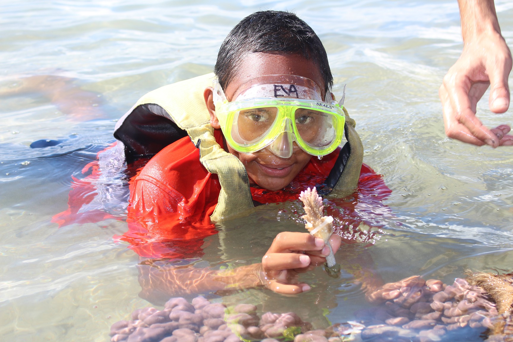Atelier "bouturage de corail" pour des enfants de la Saga