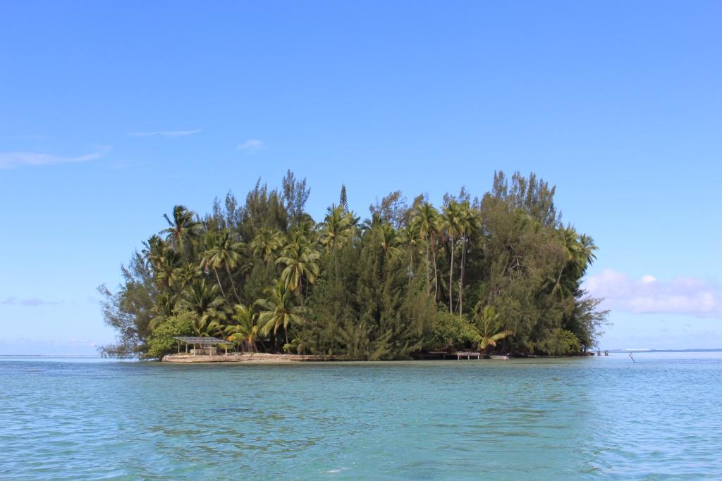 La petite fille de James Norman Hall fait la lumière sur son père, Conrad Hall