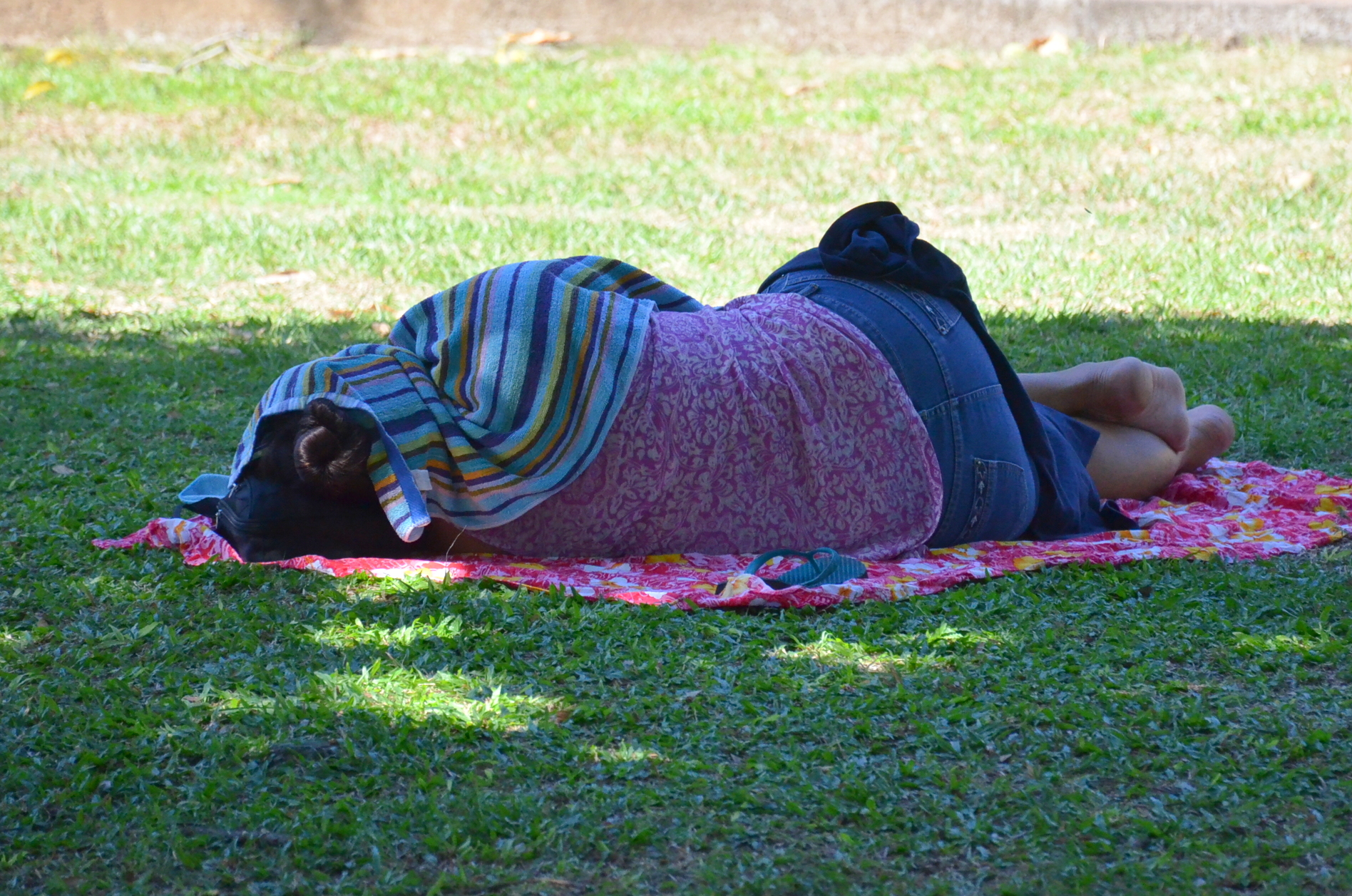 Sans-abri : des solutions à venir mais pour quand ? 