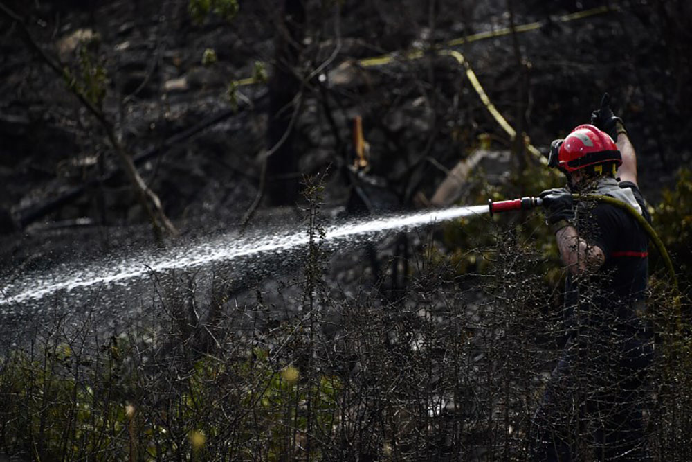 Corse-du-Sud: 150 hectares brûlés à Palneca, des sentiers de randonnée fermés