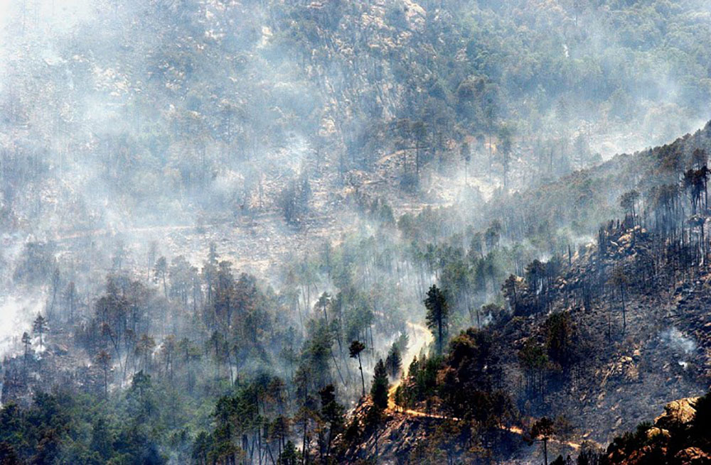 Corse: l'incendie de Calenzana maîtrisé, celui de Palneca "ne progresse plus"