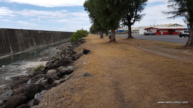 Qui serait à l'origine de ce phénomène ?