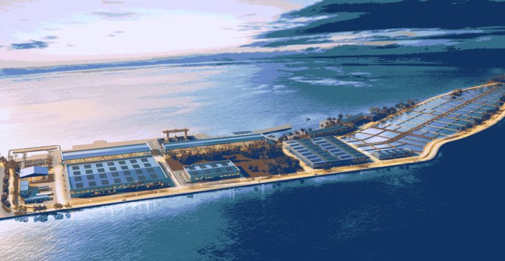 Les océans pourraient accueillir des millions de km2 d'aquaculture (étude)