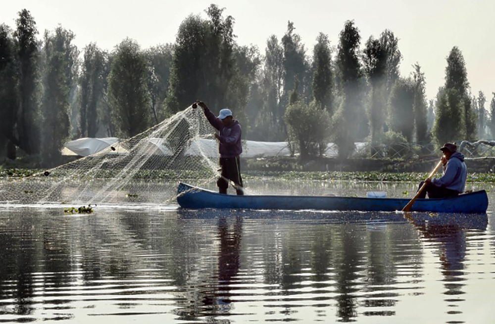 A Mexico, les pêcheurs veulent sauver le jardin aztèque de Xochimilco