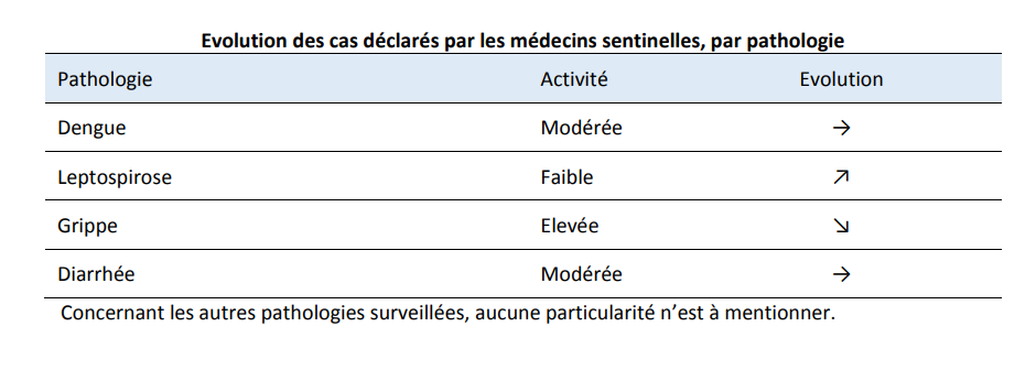 Grippe, dengue, diarrhée et leptospirose circulent toujours 