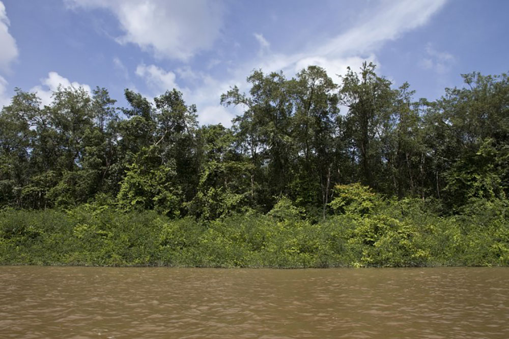 Un projet minier "hors normes" controversé en Guyane française