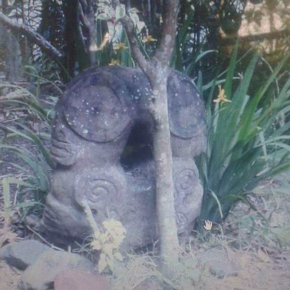 Vallée de la Punaruu : Ils cherchent leur tiki familial volé