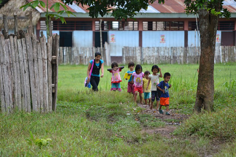 Forêt d'Amazonie: les écologistes fulminent