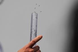 Des millions de moustiques contre la dengue et le zika à Rio