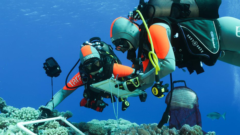 Ifrecor : le concours est lancé, vous avez jusqu'au 15 octobre