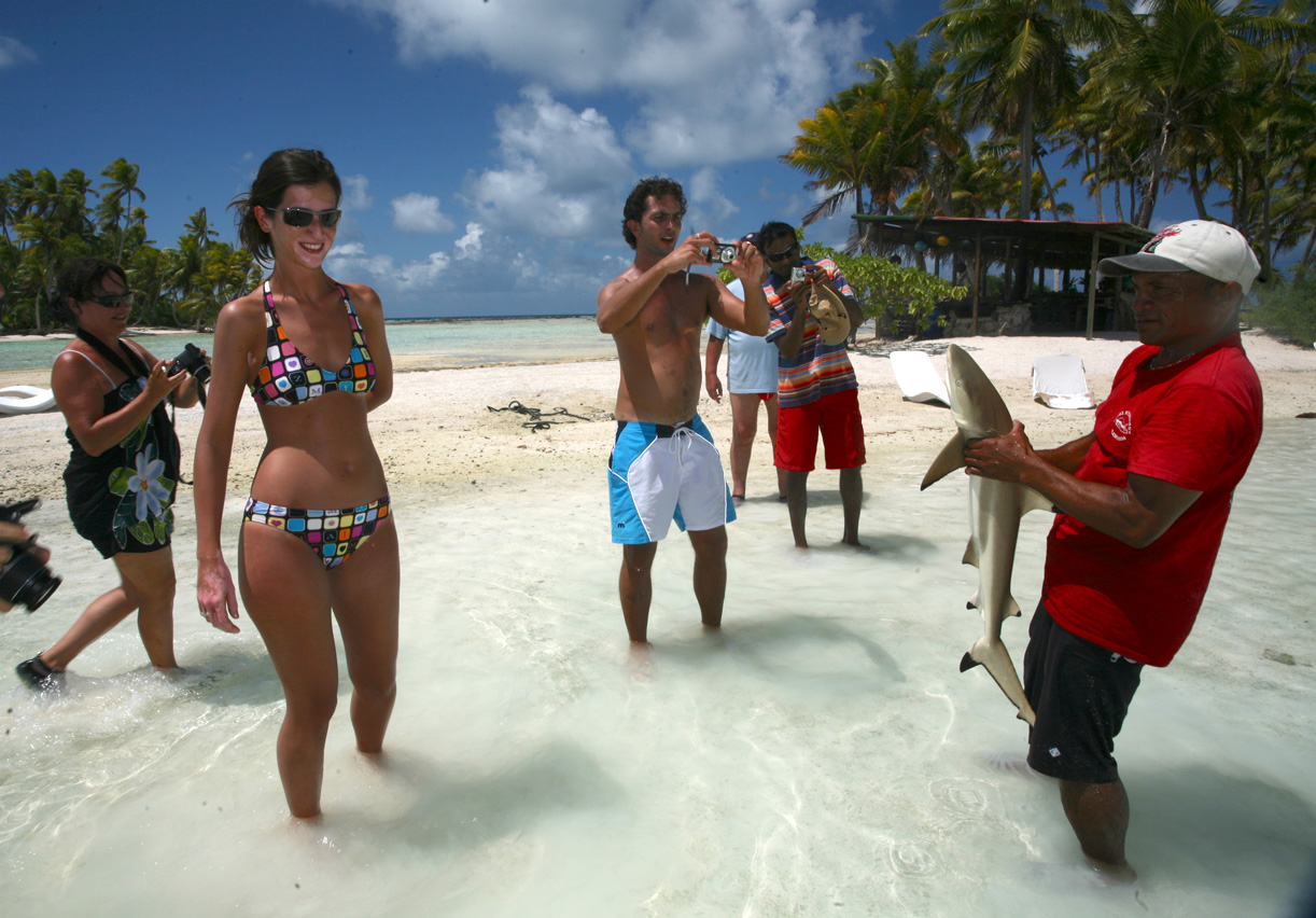 Attraper un requin au lasso n’est pas si facile. Séance caresses avant sa remise à l’eau.