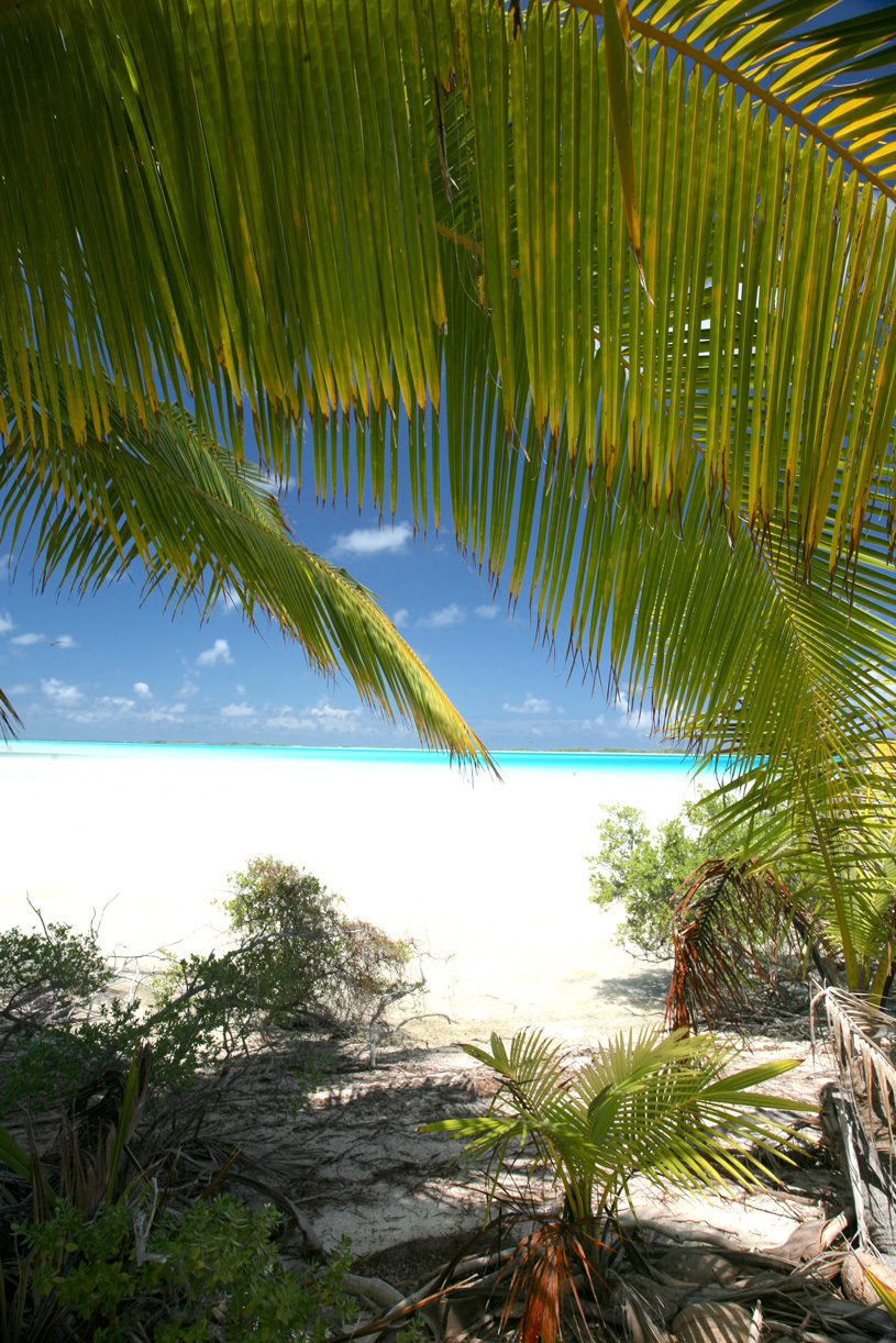Carnet de voyage à Rangiroa : rêve turquoise  au Lagon bleu