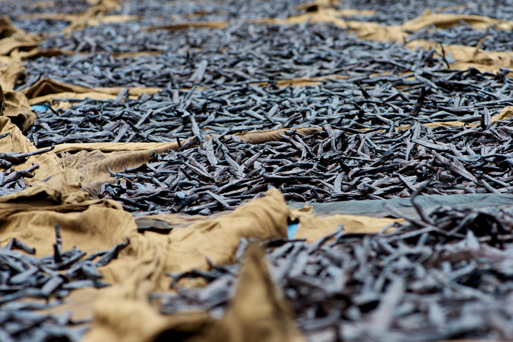 Vanille de Tahiti : Attention aux arnaques