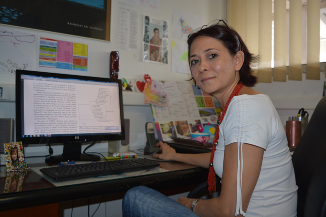 Épidémie de dengue 2 : un risque "particulier"