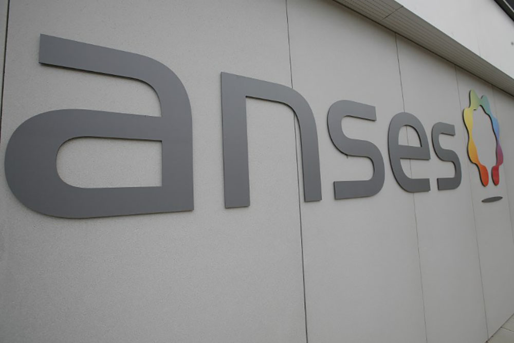 Perturbateurs endocriniens: cinq substances expertisées par l'Anses