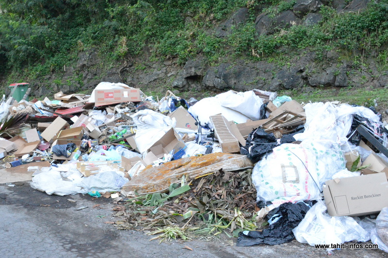 La Polynésie doit "renforcer sa gouvernance environnementale" (CTC)