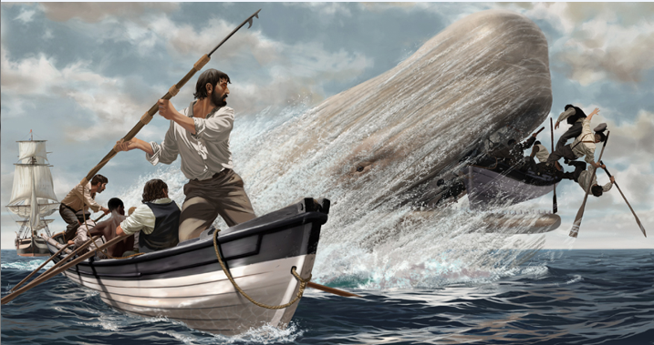 L’invincible Mocha Dick aurait échappé à une centaine d’attaques par des baleiniers. Ceux qui tuèrent le cachalot blanc trouvèrent vingt harpons fichés dans son corps.