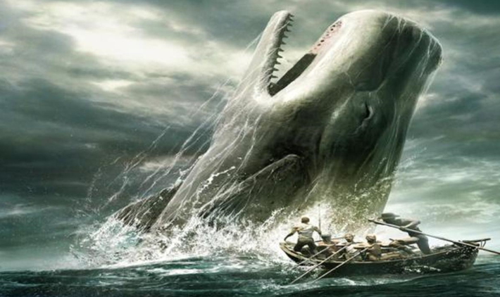 Mocha Dick vivait dans le Pacifique Sud ; la première fois qu’il fut aperçu et chassé, il se trouvait au large des côtes du Chili, au nord de l’île de Chiloe.