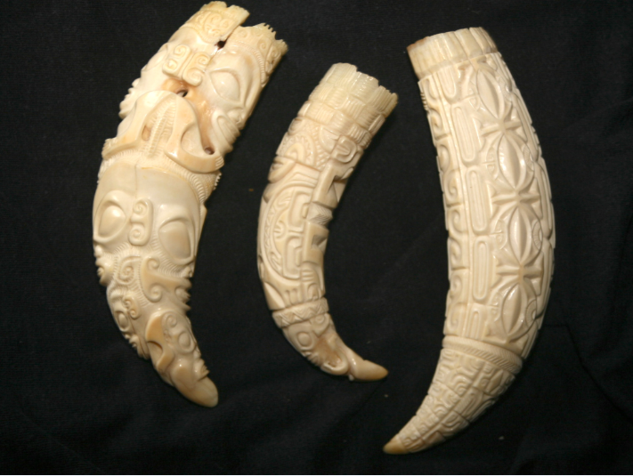 Les dents de cachalot étaient les objets les plus prisés aux Marquises où les baleiniers et santaliers les échangèrent pendant des années.