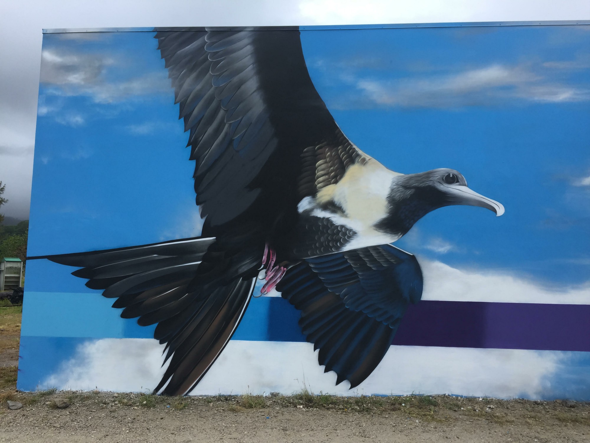 Les oiseaux polynésiens Otaha peints par Charles et Janine Williams.