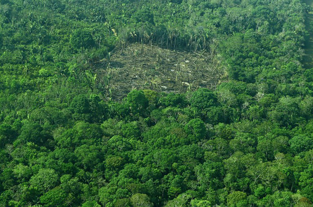 Changement climatique: la gestion des sols peut fortement réduire le CO2