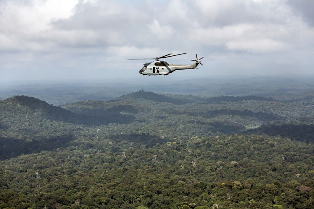 La déforestation due à l'orpaillage s'est accélérée sur le Plateau des Guyanes