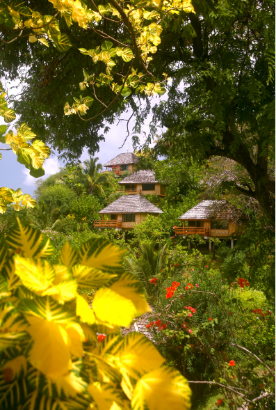 A travers le feuillage panaché d’un splendide « kenae » (Erythrina variegata), apparaissent les bungalows de l’hôtel, nichés dans un parc de sept hectares.