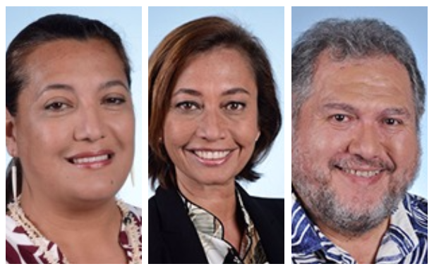 Les déclarations d'intérêt des députés polynésiens