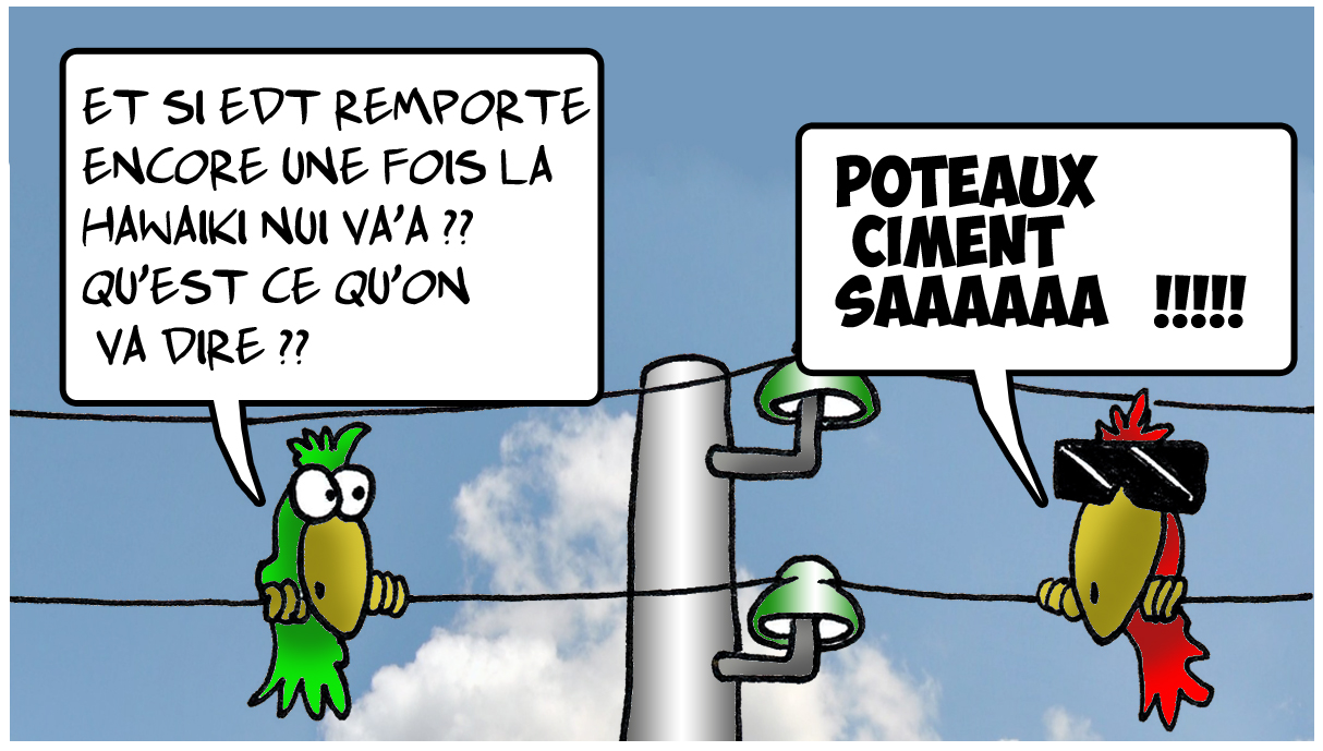 Hawaiki  Nui va'a sur le fil