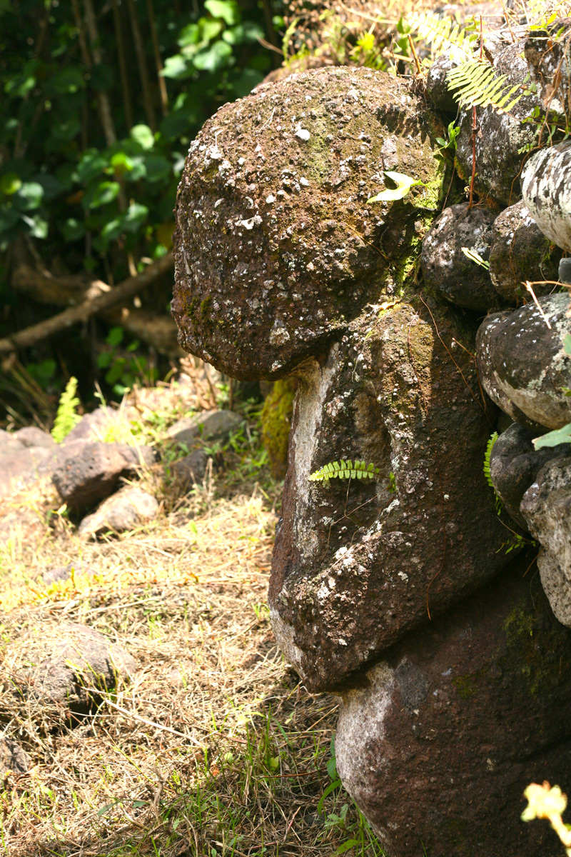 Un des tiki de la plate-forme supérieure du meae Paeke, semblant garder le site.