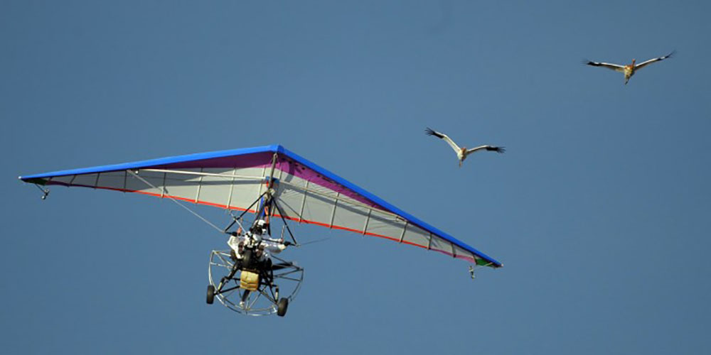 Photo d'illustration.