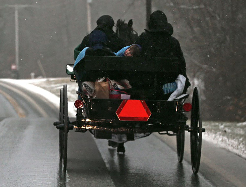 Une mutation génétique chez des Amish prolonge leur vie de 10 ans