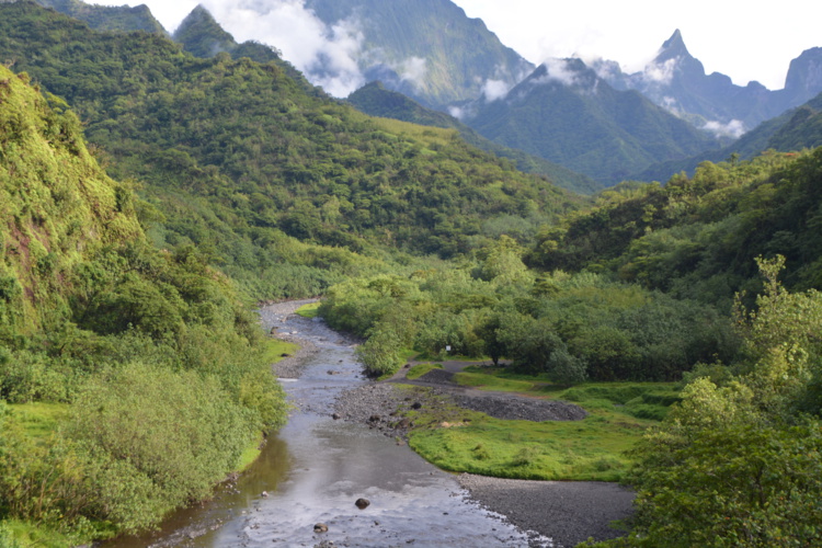 Préservation et suivi écologique du parc de Te Faaiti