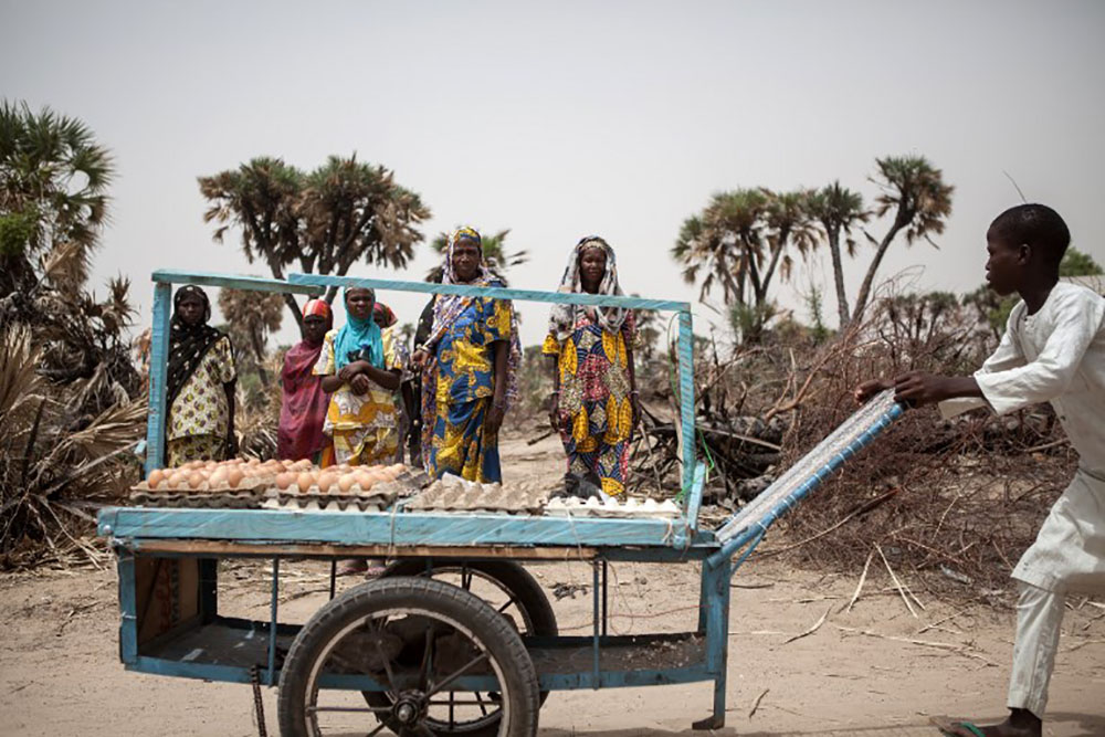 Nord-est du Nigeria: au moins 50 morts dans un attentat-suicide