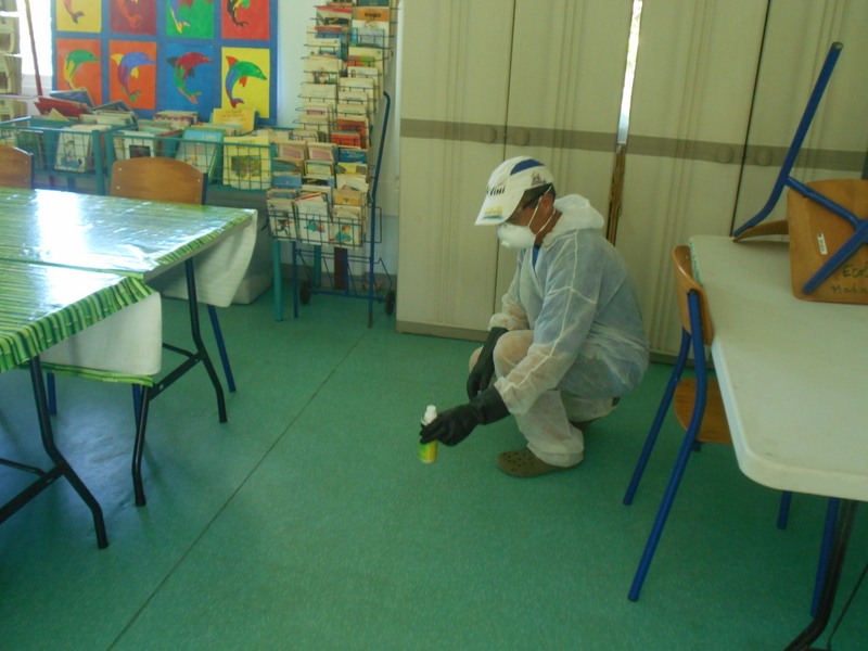 Prolifération de puces à l’école de Maharepa : l’établissement fermé pour deux jours