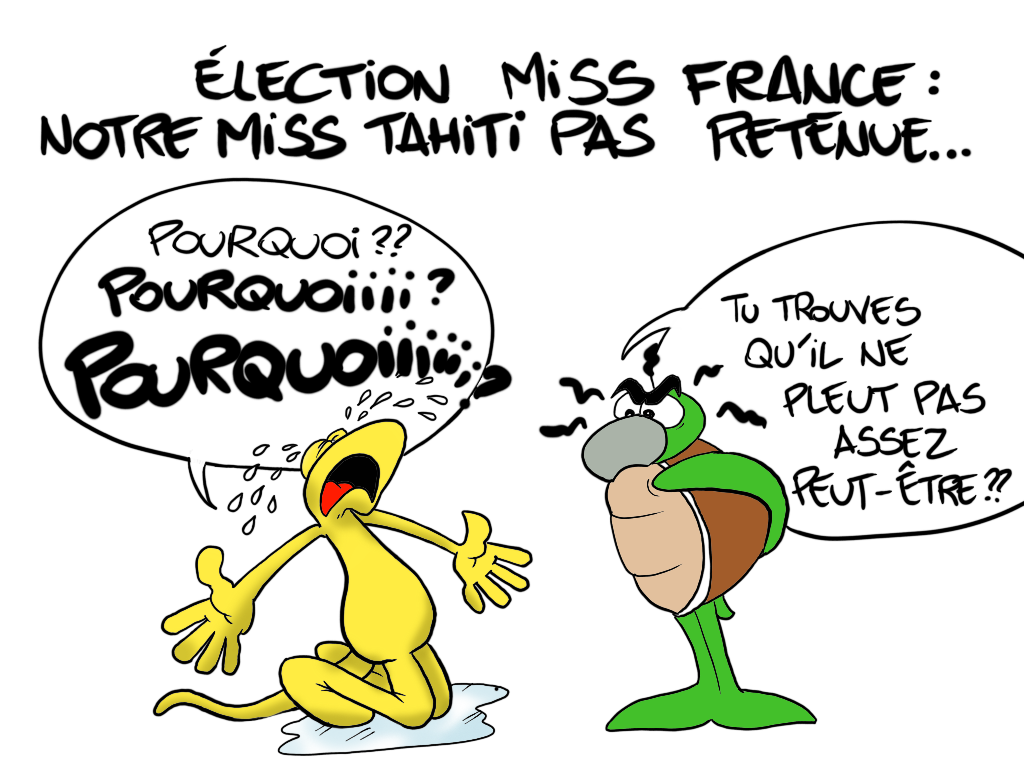 " Election Miss France 2018 " vu par Munoz