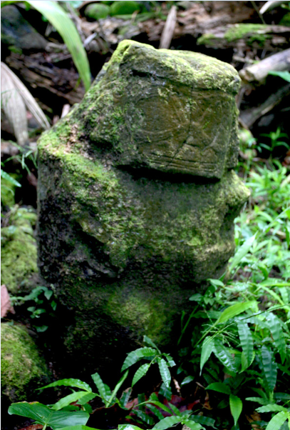 Le premier tiki découvert sur le site de Te Fiifii ; la tête est bien conservée, mais le corps est endommagé.