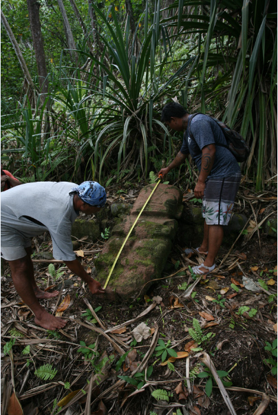 Ce tiki parfaitement bien conservé mesure 155 cm. Il ne s’agit, bien entendu, pas d’une découverte (ce tiki a déjà été recensé), mais d’une redécouverte qui pourrait intéresser de nombreux visiteurs se rendant à Puamau.