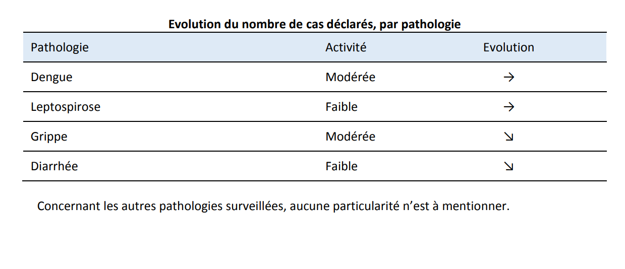 Veille sanitaire : bilan de surveillance des semaines 49 et 50 en Polynésie