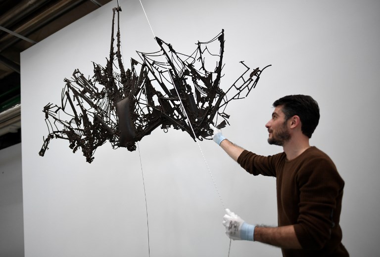 Découverte d'un fossile de chauve-souris géante en Nouvelle-Zélande