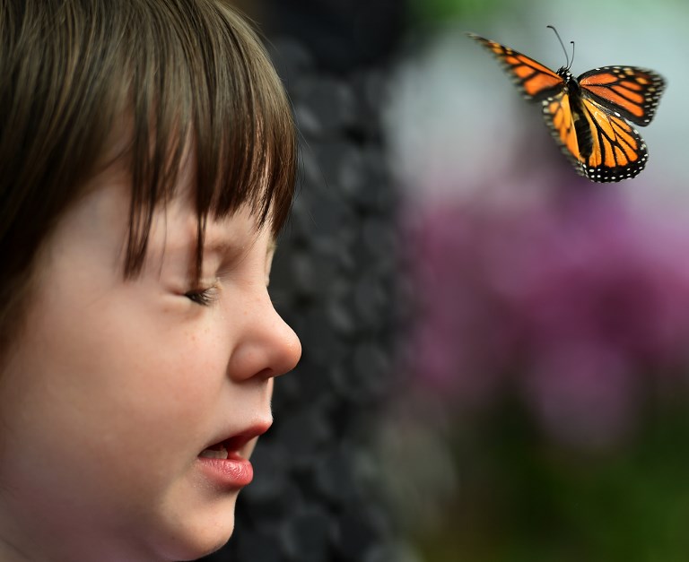 Un "Atchoum!" sonore plutôt que de gros soucis