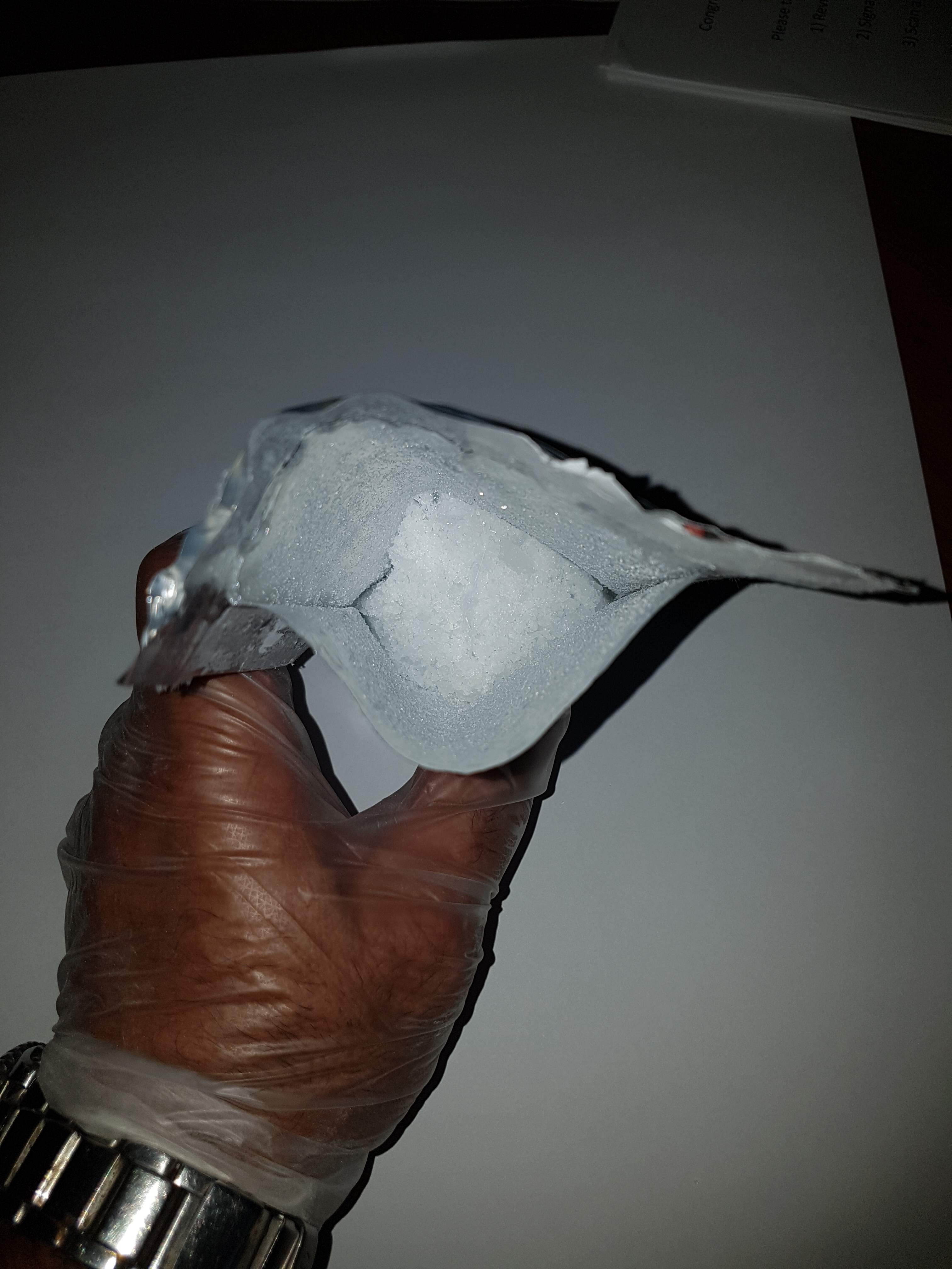 L'ice commandée sur internet était cachée dans un magazine (photos)