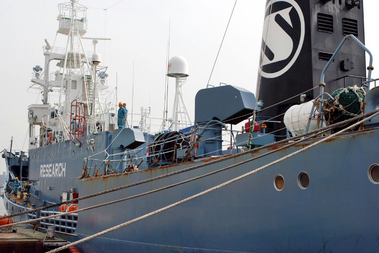Le Japon bien décidé à poursuivre la chasse à la baleine