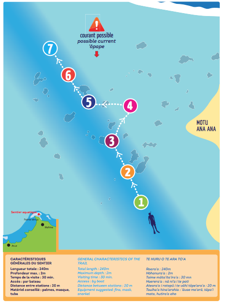 Un sentier aquatique en mars à la pointe Vénus